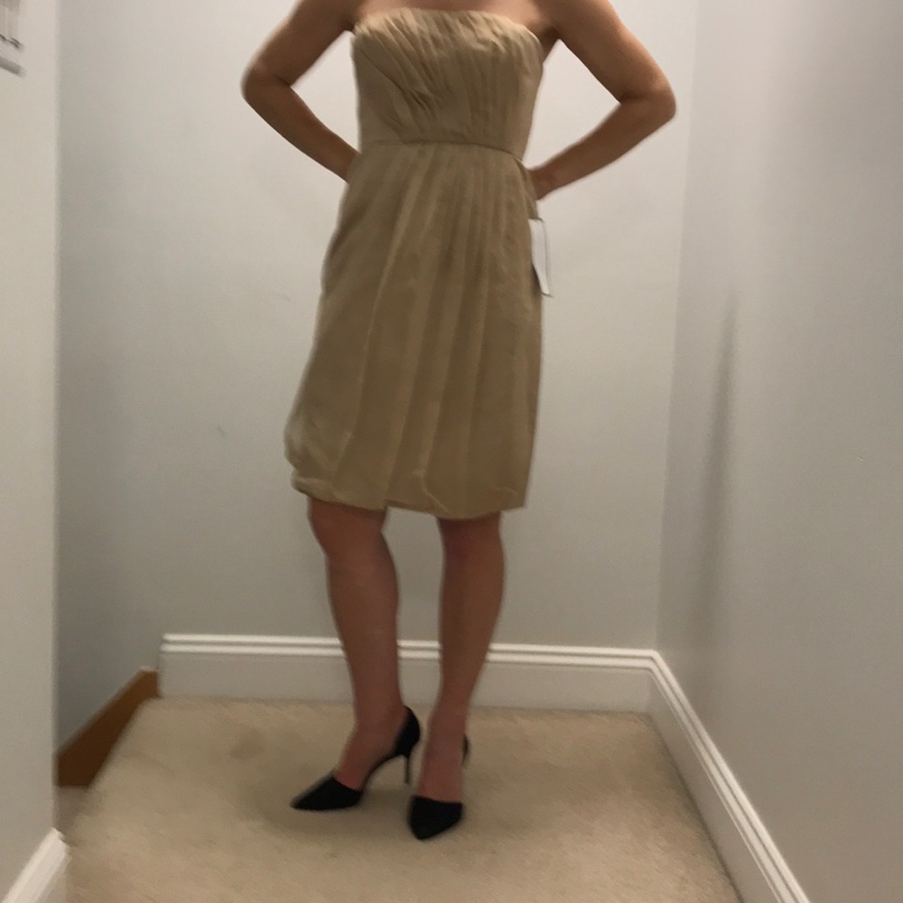 J Crew NWT Size 4 Champagne Special Occasion Dress